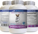 Enzim Digetical Dog - PROBIOTICS for Dogs - Healthy Gut - Stop Gas Diare and Bad Breath - Digetical Boost - progories for Dogs - 1 Bottle (60 Treats)