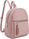 Montana West Girls Backpack Purse Gifts for Kids Anti Theft Backpack with Secure Zipper & Tassel