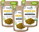 Naturrefi Organic Goldenseal Root Powder - 10,5 oz, 300 pelayan dari USDA Organik 134; Lab Test * Pure Natural Goldenseal Root Pounder Supplemen