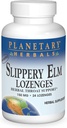 Planetary Herbals Slippery Elm Lozenges, Herbal Throat Dukungan, 24 Lozenge