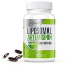 900 mg Lipomal Artemisinin for Maximum Absorpsi, Sweet Wormwood Extract (Artemisia Annua) dengan Quercetin Phyttoome 200 mg, 60 Softgels - 2 Bulan Supply