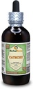 Catechu (Akacia Catechu) Glycerite, Dry Herb Alcohol- Free Liquid Extract (Nama cair: HerbalTerra, Proughtly Made in USA) 4 f.oz (120 ml)