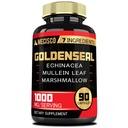Goldenseal Root Capsule dengan Echinacea, Mullein Leaf, Plantain & More - 90 Vevgie Capsules - 7in1 Support Immune System, Digetical Health, Smooth Breathing, and Body Management