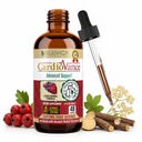 Rejuvica Health CardioVance - Dukungan Jantung Suplemen - Pengiriman Cair untuk Pelecehan Lebih Baik - Hawthorne, Hibiscus, Arjuna, Olive Leaf & More!