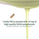 Oleocan ™ Capsules - 90 Day Supply - Premium EVOO Polyphenol Suplemen - 3.5mg dari Oleocanthal dan 3.5mg dari Oleacein - Broad Spectrum