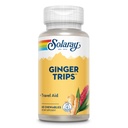 Trips Slach Ginger Travel Aid 124; Root Extract 124; Healthy Digetical Dupport w / Honey, Stevia & Molasses 124; 60 Chewables
