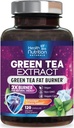 Green Tea Extract Pills - 98% Standardisasi EGG 1300mg 3X Kekuatan untuk Energi Alam - Mendukung Hati & Antioksidant Kesehatan Herbal & Imune Dukungan Polyphenols & Catechin - 120 Capsules