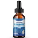 1 Pack Glucosamin Chondroitin MSM Liquid Drops - Ekstra Kekuatan Dukungan Bersama Tambahan untuk Dewasa dengan Quercetin Boswelia, Bromelain, Acid Hyaluronic, Antioksidant Immune Dukungan (2 Fl oz)