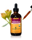 Herb Pharm Certified Organic Rhodiola Root Extract for Energy, Endurance and Stamina, Alcohol- Free Glycerite, 4 Ounce