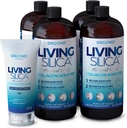 Reparasi Silica & Recover Kit