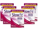 Slow Fe Slow Rilis Iron Supplement, High Potency, Once a Day, Gentle on System, 30 Tablet (Paket 5)