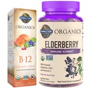 Taman Kehidupan Organisasi Elderberry Immune Gummies, 120 Count & B12 Vitamin Raspberry Sempray, 500mcg, 2oz