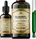 Chlorofil Liquid Drops - Organic Natural Detox & Cleanse Dukung - Boost Energy, Imunity & Metabolisme - Vegan, Non-GMO, Mint Flavor, 2 flo oz - Sodium Copper Chlorofil Extract - Dibuat di Amerika Serikat