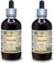 Psyllium (Plantago Ovata) Tincture, Organic Dryed Seed Liquid Extract (Nama Merek: HerbalTerra, Proughtly Made in USA) 2x4 f.oz (2x120 ml)