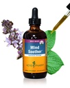 Herb Pharm Mind Soother: Holy Basil: Liquid Kava Suplemen untuk Mendukung Tenang & Relaxation, Membiasakan Dukungan untuk Sistem Gugup, Dibuat dengan Noble Kava & Lavender Flower, Vegan, Gluten- Free, 4 oz *