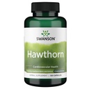 Swanson Hawthorn Extract (Standardied) 250 Miligram 120 Capsules