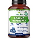 Zazzee USDA Organik Blueberry 10: 1 Ekstrak, 5000 mg Kekuatan, 120 Vegan Capsules, 4 Bulan Supply, Terkonsentrasi dan Standardisasi 10X Whole Fruit Extract, 100% Vegetarian, Non-GMO, dibuat di Amerika Serikat
