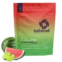 Tailwind nutrition Endurance Fuel, Carbohydrate & Electrolite Sports Drink Powder, Gluten- Free, Vegan, Daurwaltermelon, 30 Serbu