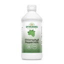 Clorophylin Kesehatan Dinamis Chlorofil Peppermint 100 mg, Sodium Copper Chloroplins dengan Alfalfa dan Mulberry Leaves, Tanaman Cleanse dan Deodorizing, No Ditambahkan Sugar, 16 Fl Oz