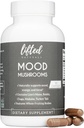 Jamur Mood - Suplemen Jamur Terangkat - Singa Mane, Reishi, Chaga, Turkey Tail, Maitake - Energi, Fokus, Bantuan Stress