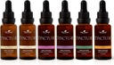 Pembangkit Terapi Organik Tanaman Pertama Mengatur 30 mL Masing-masing Organik Ashwagandha, Asia Ginseng, Echinacea Blend, Elderberry, Lemon Balm & Turmeric