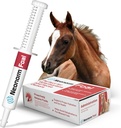 Jaguar Animal Health Foal - Equine Supplement Paste for The Dupport of Proper Hydration & Bowel Health
