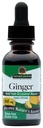 Nature 's Respons Alcohol- Free Ginger Root, 1-Fluid Ounce 124; Inflammatory Dupport N124; Support Ditraffic