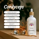 Rainbo - Cordyceps Mushroom Tsuture - Dual Extract Mushroom Suplement - Imune Dukungan, Energi, Cair Cordyceps Suplemen, Vegan, Non GMO, 3.4 fL oz