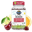 Garden of Life Kids Dimune Support gummies with Vitamin C, D as D3 & Zinc for 3-1 Daily Children 's Imunity - Organic, Non-GMO, Gluten- Free, Vegetarian, Sugar Free, Cherry Flavor, 30 Day Supply