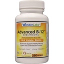 Lab Wonder Sublinual Vitamin B12 (1000 mcg), B6 (5mg), Folic Acid (400 mcg) & Biotin (25mcg) - Formulated with Methylcobalamin Vitamin B- 12 (250 Tablet)