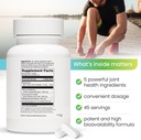 Mobility ReVIIZE + Advanced Joint & Connective Tows Dukung Formula Inflammation, Joint Care & Relief, Heart & Imune Dukungan, Perna Canaliculus, Glucosamine, MSM, DMG- 90 Tablet