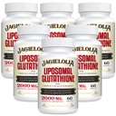 Lipomal Glutathione 2000 mg dengan L-Serine, L- Glycine & Sulforaphane - Active L- Glutathione Unique Formulasi ke Enhance Absorpsi - Master Antioksidant, Detoksifikasi & Imune 124; 360 Softgeels