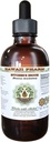 Ekstrak Liquid Free Butcher 's Broom (Ruscus aculetus) Root Kering Glycerite Hawaii Pharm Natural Herbal Supplemen 4 oz