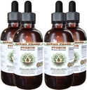African Cherry Pygeum Alcohol- Free Liquid Extract, African Cherry Pygeum (Prunus Africana) Bark Glycerite Natural Herbal Suplemen, Hawaii Pharm, USA 4x4 oz