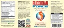 FUCOIDAN FORCE ® - 24 Botol Pack