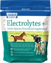 Save-a-Caf Electrolytes Plus ™ Supplement 12.4; 6 Pound (6 LB) Bag