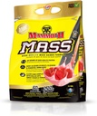 MAMMOTH Mass: Weight Gainer, High Calorie Protin Powder Smoothie Shake, Meal Replacement, Low Sugar, Whey Isolate Konsentrat, Casein Protein Blend, High Protein (Strawberry, 5lb)