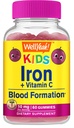 WellYeah Iron Gummies untuk Anak-anak dengan Vitamin C - Anemia Dukungan, Formasi Sel Darah Merah, Energi, dan Pendukung Kebal Dukungan Besi untuk Anak-Anak - GMO Bebas, Grap Flavor Natural - 60 Count