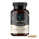 TERRA ORIGIN Heally Gut Reset PM 124; 60 Vevgie Capsules 124; Natural Sleep Aid Support for Sleep & Wake Cycles 124; GABA, L- Tryptophan, Melonulin, L- Glutamine, Licorice Root, Slippery Elm Root