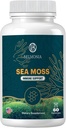 Sea Moss Gummies - Imune Strength & Skin Health, Organic Ichs Gummy Bears, 60 Count, Vegan, Superfood Chelable Suppplemen & Kesehatan