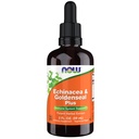 Suplemen NOW Foods, Echinacea & Goldenseal Plus dengan Dropper, Imune System Support *, 2- Ounce