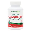 NaturesPlus Organik Cranberry 500 mg - 60 Kapsul - Membantu Proxement Healthy Urinary Tract - USDA Certified Organic, Vegan, Gluten Free, Non-GMO - 30 Hamba