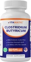 Vitamin Clostridium butyricum 25 juta - Gut Health - 60 DR Capsules (Dirilis Tertunda) - Dibuat dengan Prebiotic Inulin Fiber