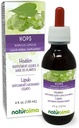 Protestalma Hops (Humulus lupulus) strobilus atau Cone (Bunga Perempuan) Alcohol- Free Tincture - 4 quid oz Liquid Extract in Drops - Herbal Supplemen - Vegan