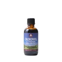 WishGarden Herbs Chlorophyll & Friends - Chlorophill Liquid Drops with Nettle Leaf, Holy Basil, Moringa Leaf & Peppermint Leaf, Supports Increated Energy, Healthy Imune, & Stress Response, 2oz