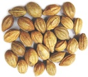 Terminalia Chebula 124; Kadukkai 124; Harad 124; Inknut 124; Haritaki Indian Origin Herbs (200g (0)))