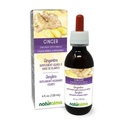 Rhizome Alcohol- Free Tincture - 4 quid oz Liquid Extract in Drops - Herbal Supplemen - Vegan