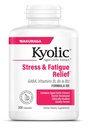 Kyolic Aged Bawang putih Extract Formula 101, Stress and Fatigue Relief, 300 Capsules.