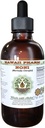 Noni Alcohol- Free Liquid Extract, Organic Noni (Morinda citrifolia) Dry Fruit Glycerite Natural Herbal Suplemen, Hawaii Pharm, USA 2 fleroz