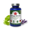 Ginkgo Biloba, Memory, Focus & Brain Fungsi Dukungan, Antioksidant- Rich, Plant-Based, GMP, Herbal Nootropic Vegetarian Capsules, 120 Count (Pack of 1)